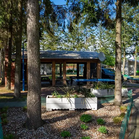 Wojtek - Letniskowe *