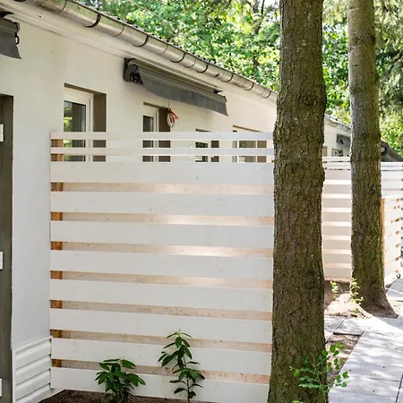 Wojtek - Letniskowe *