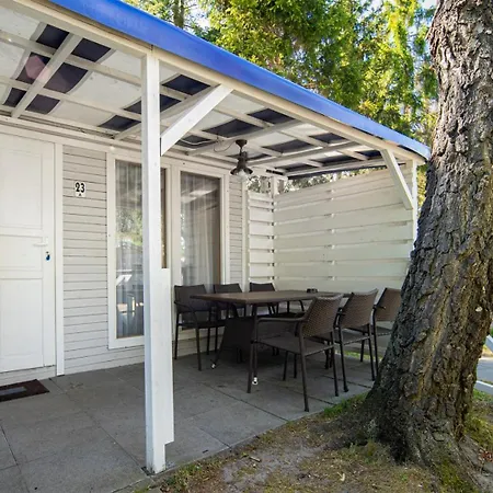 Wojtek - Letniskowe *